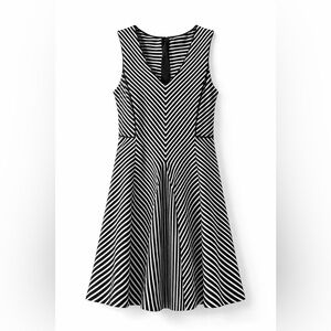 Banana Republic Chevron Stripe Dress Flattering Fit Flare Parisian Chic